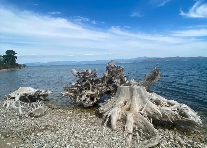 Διαμέρισμα Ivory Κιβέρι